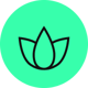icon-p-spa